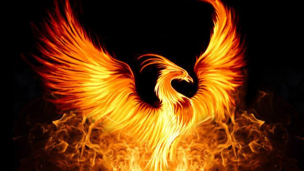 Le phoenix renaît de ses cendres