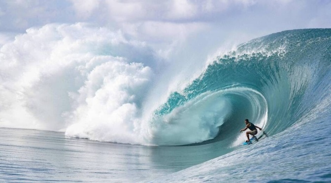 Surfer la vie – Joël de Rosnay
